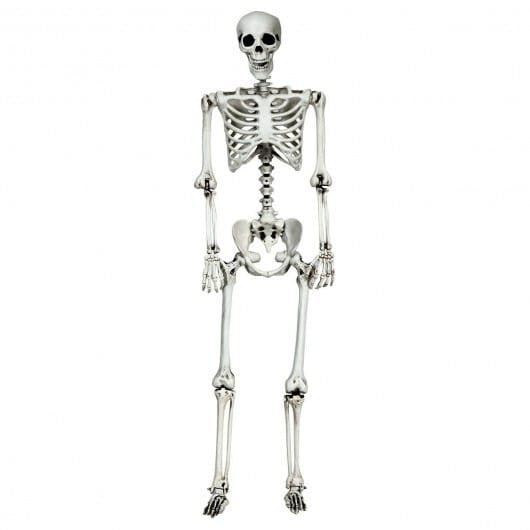 5.4 Feet Halloween Skeleton Life Size Realistic Full Body Hanging-4