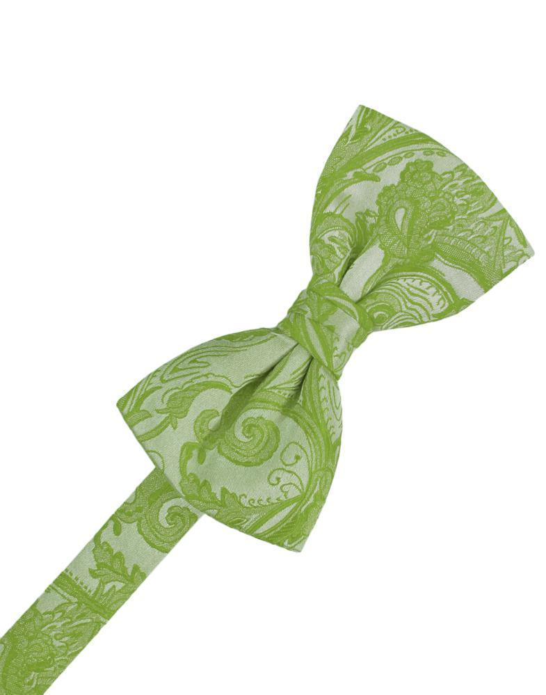 Tapestry Bow Tie Pre-Tied-12