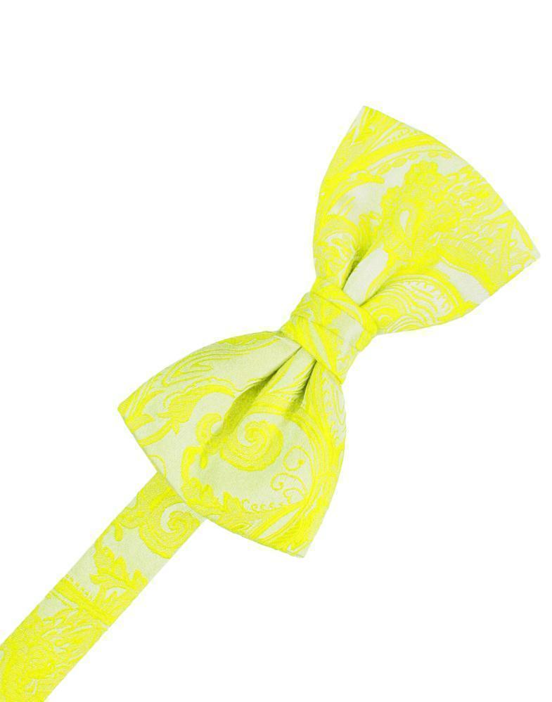 Tapestry Bow Tie Pre-Tied-30